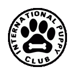 International Puppy Club  for the puppy, handler, trainer, handler, or any club or contest